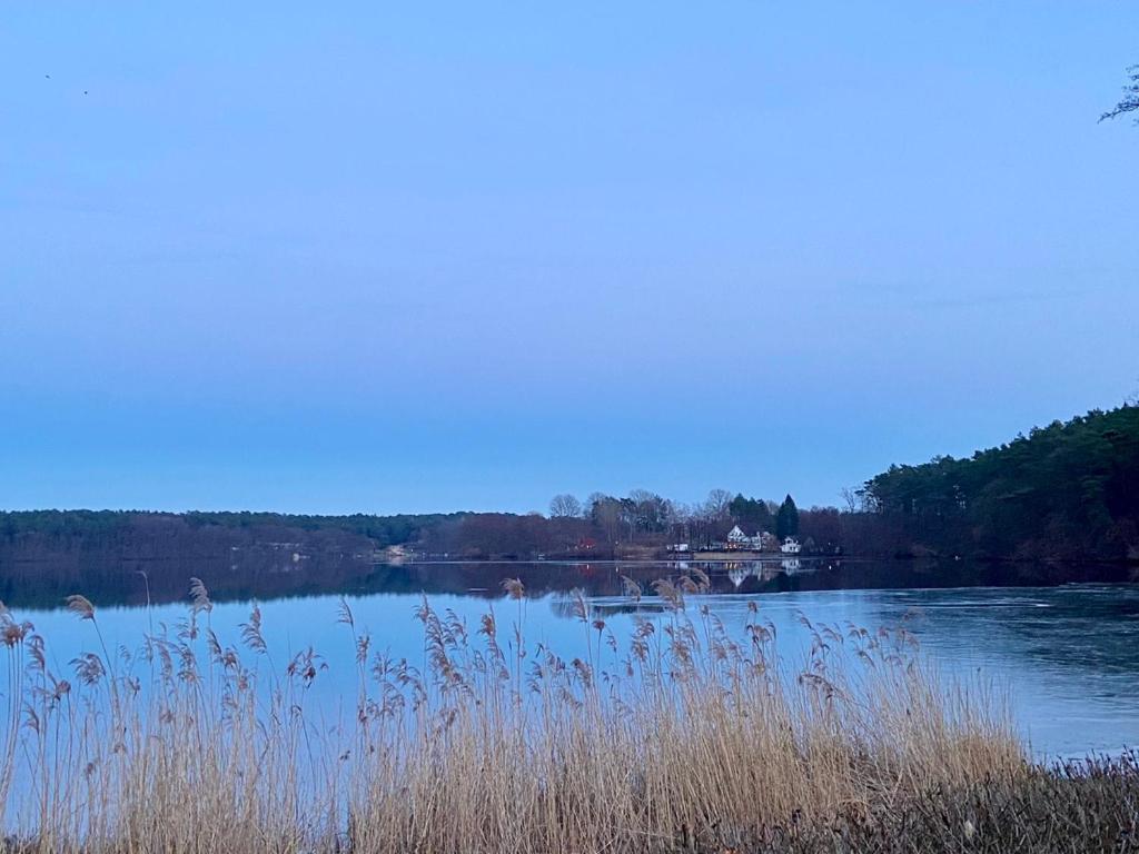 Waldwerk Wurlgrund Lychen Aparthotel Bagian luar foto