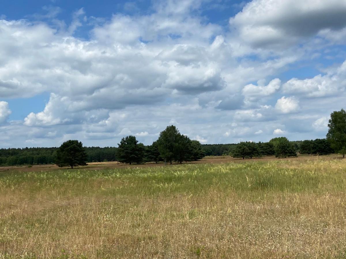 Waldwerk Wurlgrund Lychen Aparthotel Bagian luar foto
