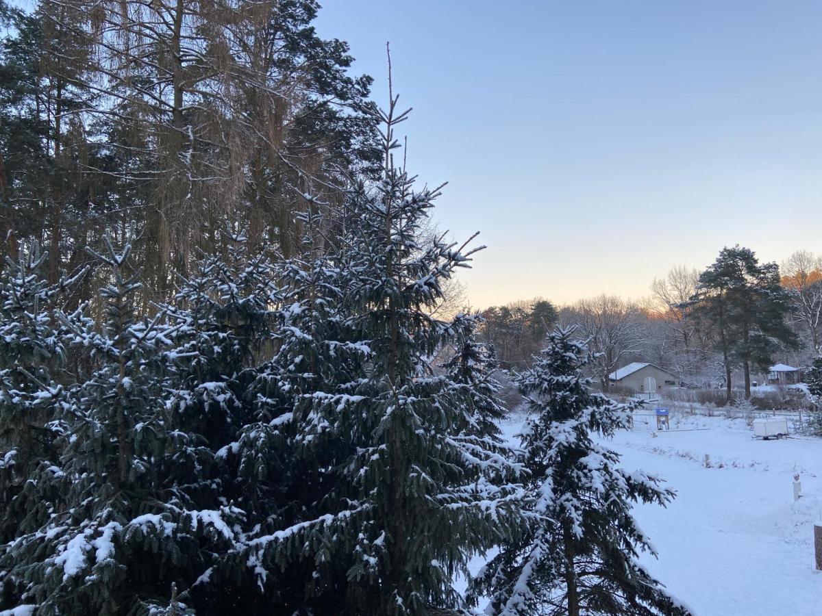 Waldwerk Wurlgrund Lychen Aparthotel Bagian luar foto
